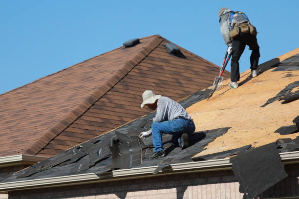 Best Roof Replacement  in Warren, MI