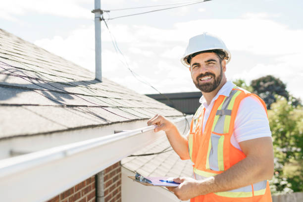 Best Roof Moss and Algae Removal  in Warren, MI