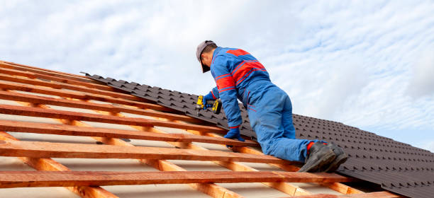 Best Green or Eco-Friendly Roofing Solutions  in Warren, MI