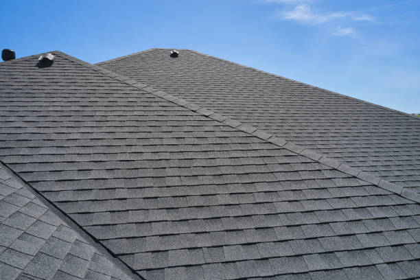 Best Hot Roofs  in Warren, MI